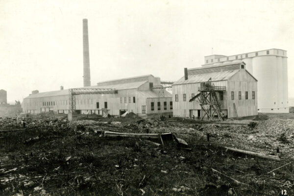 449f3d82c1fd0c56a8bdcb220de89220